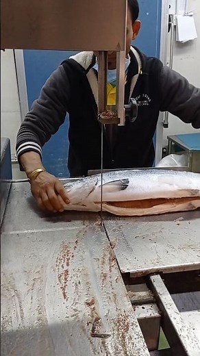 Australia Frozen How To Make Salmon Fish Cutting Machine Skills#shorts