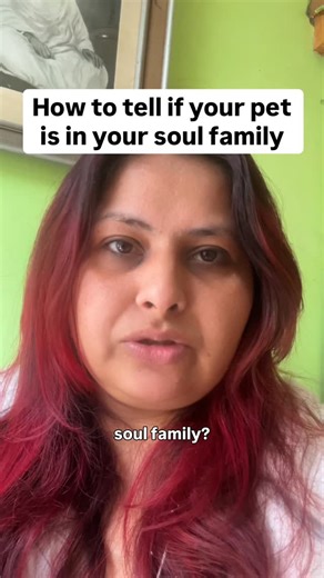Nandita Sharma on Instagram: "How to tell if your pet is in your soul family? 🐾🐈‍⬛ #petparent #dogbonding #dogsofinstagram [ dog sleeping positions, canine body language, pet psychology, dog behavior, puppy snuggles, dog bonding, pack mentality, dog trust, sleeping with dogs, pet ownership, dog health, animal intuition, dog lovers, pet parents, canine connection, dog sleeping habits, sleeping arrangements, puppy behavior, dog facts, pet wellness, animal communicator, pet psychic, interspecies