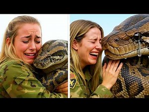 20 Times When Animals Reunited With Owners After Years Make You Cry in a Special Way 2025 #20