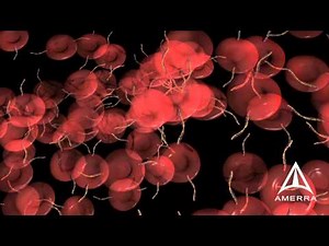 BeckmanCoulter Test 1 Technology - 3D Medical Animation