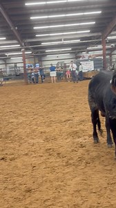 133K views · 1.3K reactions | Supreme Champion Performance Bull | Butler Polled Brahmans | Facebook