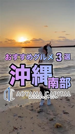 沖縄南部のおすすめグルメです🐱🐾