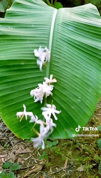 Crazy Mobile Videography Tutorial with mobile 📱👀 #shorts #videography #tutorials