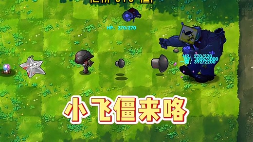 敏感菇还敢站在第一排