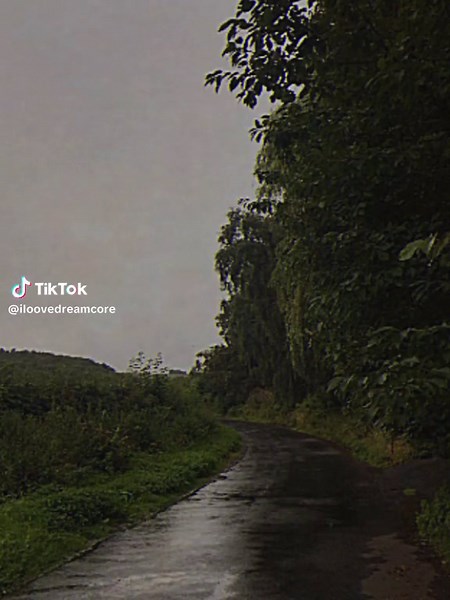 Exploring Nature Aesthetic and Dreamcore Vibes