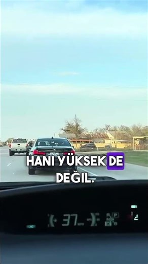 Amerika'da Yolda karşılaşılan ilginç durumlar #amerika
