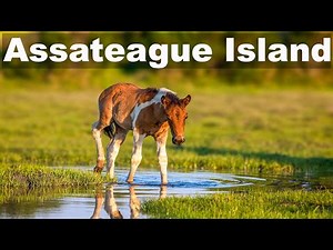 When You Discover an Island