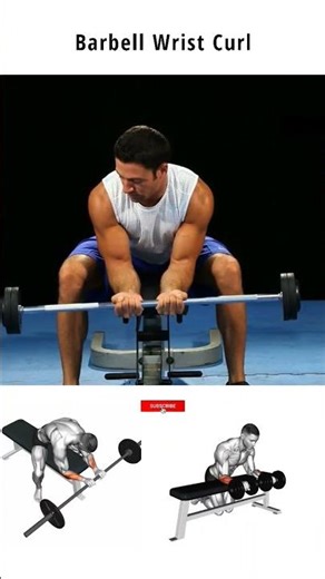 Barbell wrist curl and variations