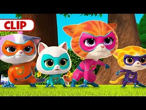 Mr. Puppypaws Digs Holes! | SuperKitties | @disneyjr​