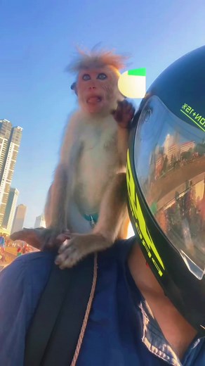 😍🍃 #fypシ #viral ammo eka 😂😂😂 #😂 #viral #foryoupage