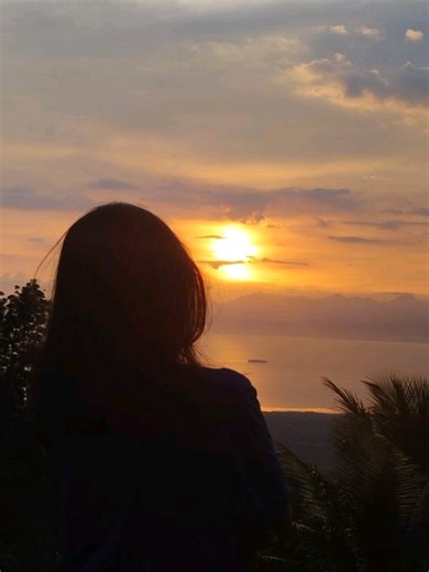 Cây Ớt Ngon: Hướng Dẫn Trồng và Chăm Sóc