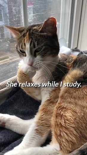 58K views · 629 reactions | Keep your life intact and your path to nursing school on track. Finish your nursing PreReqs online, at your pace with StraighterLine. | StraighterLine | Facebook