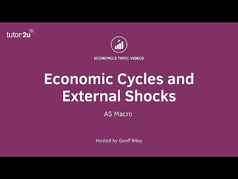 External Shocks and Economic Cycles