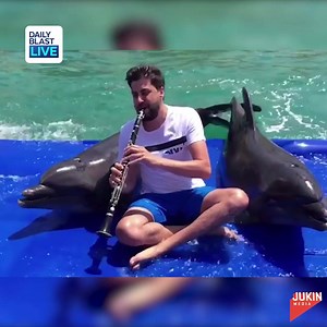 Look at this viral video of these singing dolphins! They've got some talent! #DBLtake | Daily Blast LIVE
