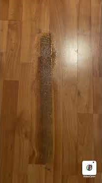 How to remove sticky substance from laminate floors