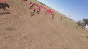 DART: Real-Time Object Detection with Speedup | Mehmet Kerem Türkcan posted on the topic | LinkedIn