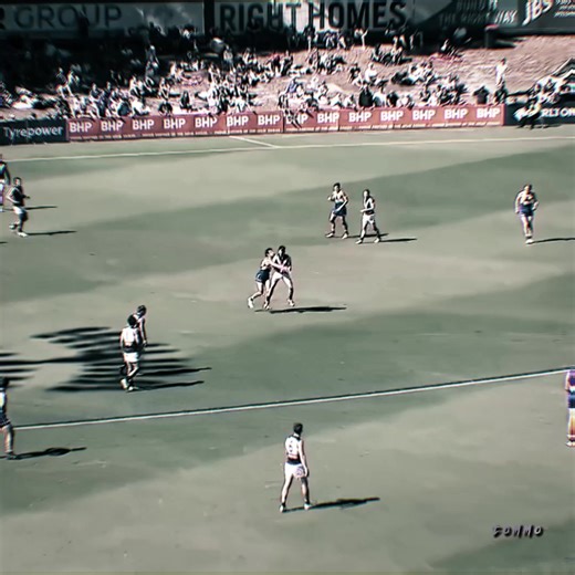 AFL 2023: Port Adelaide's Big Year Ahead