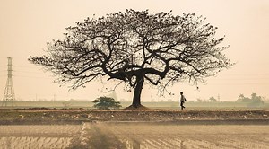 Learning our way to a better environment