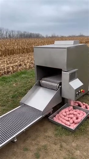This is how meat is made in the modern world.