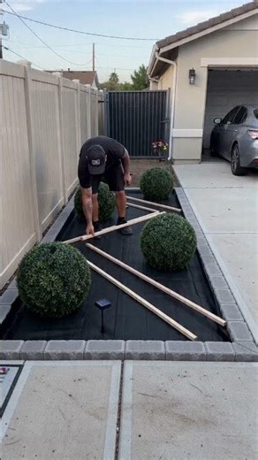 Dead Side Yard to Stunning Garden Makeover 🌿 #Shorts
