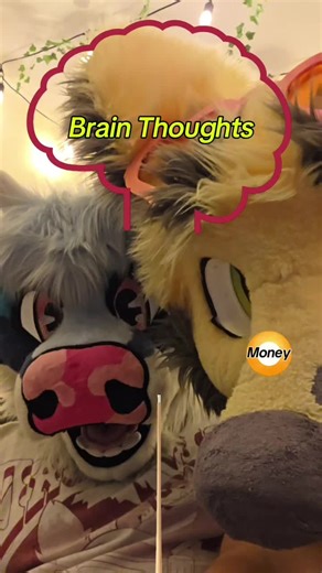 no women or success for us 😔 @Clio Fox #furrytiktok #fyp #fursuit #filter #furry