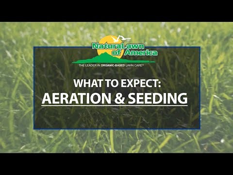 What to Expect From Lawn Aeration & Seeding - NaturaLawn® of America