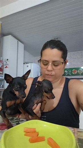 Os vídeos de pingo_ignorante.bella (@pingo_ignorante.bella) com som original - pingo_ignorante.bella