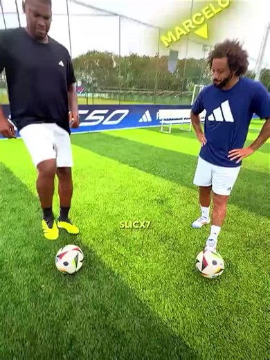 Discover the Magic of BalliBotMogis: AI Innovation in Action