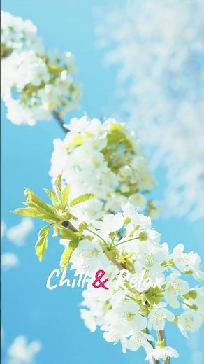 Chill & Relax เพลงสากลฟังเพลิน ๆ "Little Things" #เพลงเพราะ #music #2026 #เพลงเพราะ #เพลงสากล