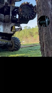 Chopping down trees with a machine at insane speed | Behind The Machines