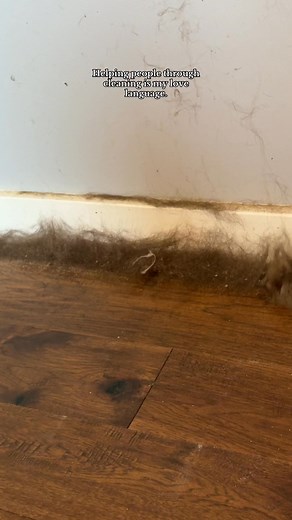 I clean for people. Period. 💖 #cleaning #doghair #sharkvacuum #zepwallcleaner #cleantok | KeeksCleaning
