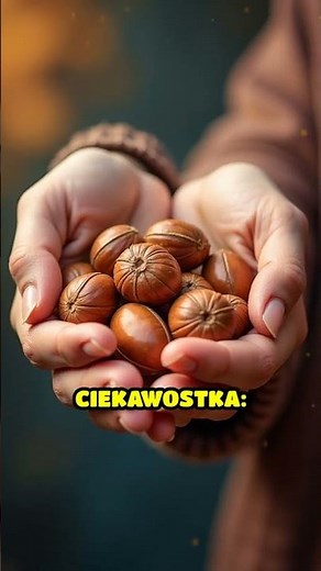 Orzechy laskowe – sekret zdrowej skóry i mózgu