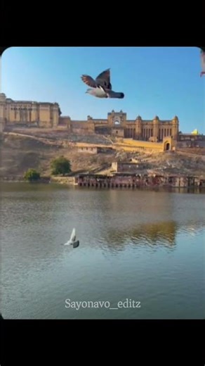 Amber fort. One of the most beautiful forts in India.