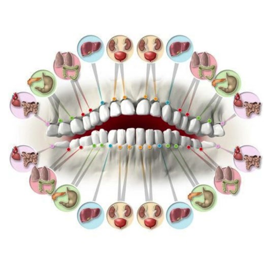 Teeth #Health and YOUR Body!