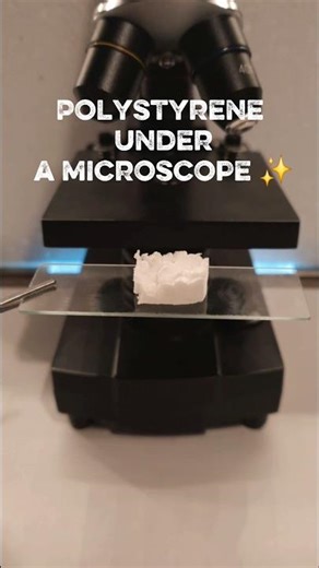 Microscopic observation of a piece of polystyrene #microscope #science #experiment