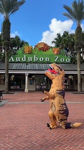 10K views · 84 reactions | Dinosaurs 欄 Audubon Zoo Tickets are on sale NOW: bit.ly/3SAyz0I 練 | Audubon Zoo | Facebook