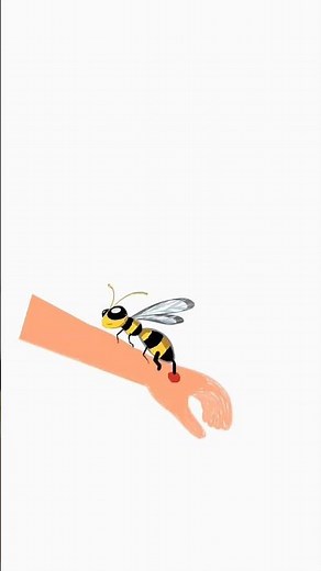 Why Hornets Don’t Die After Stinging | #hornet #wasp 🐝