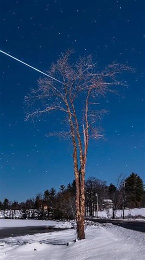 The Quadrantid meteor shower is coming! It peaks on January 4, 2026 🌠 For your best chance to spot meteors, look up late at night into the pre-dawn hours. The Moon will be bright, so face away from it for the best views. Clear skies and good luck! | Celestron
