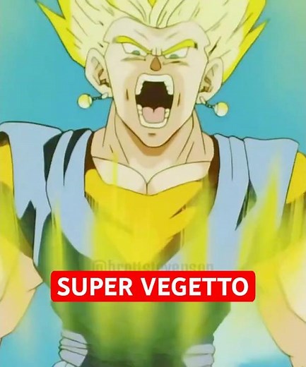The Ultimate Warrior! Vegetto vs Buu ⚡️ #dragonball #goku #vegeta