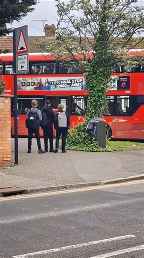 A 165 & 365 bus spot 💯 but an additional change happens #1080p