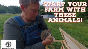 EASY Beginner Farm Enterprise - Pastured Rabbit What is an easy farming project that you can start on a small scale and even get your kids involved? Rabbits. Come along as we show our rabbits and how we care for them in an easy, simple way. Blue SPF Hat: https://app.barn2door.com/sheratonparkfarms/all/k4rx2 Maroon SPF Hat: https://app.barn2door.com/sheratonparkfarms/all/M0gA7 Polyface Designs: https://amzn.to/3OLuO7F Become a Patron: www.patreon.com/SheratonPark Consulting Services: https://www.