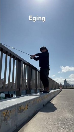 Basic Eging Fishing Technique