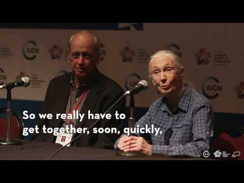The importance of biodiversity