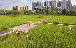 Daoxiangyuan, Chang’an Park, China by Shanghai CHIDI Studio