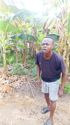 cow trainer 😳😳😁😁 #funny