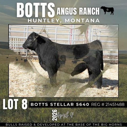 Botts Angus Ranch | April 4, 2026