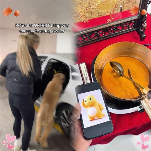 and just like that.. it’s over 💀🐾 #dogs #dogtok #funnydog #dogowners #goldendoodle #pets