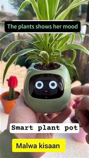 smart plant pot #khetibadi #lodhifarming #farmequipment #farming