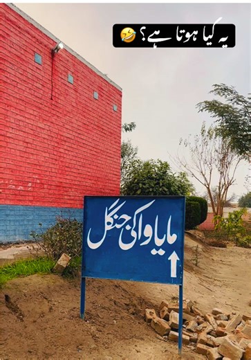 Understanding Miyawaki Jungle Planting Techniques