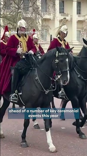 Spring drills for British Army horses🐴